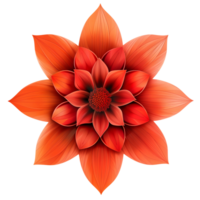 Vielfalt von oben Aussicht eben Blumen isoliert png