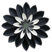 Variety of Top View Flat Flowers Isolated png