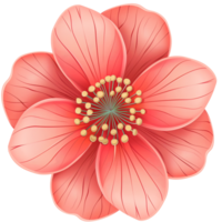 Variety of Top View Flat Flowers Isolated png