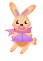 A cute rabbit wearing a purple shirt. png