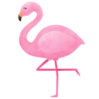 summer pink flamingo png