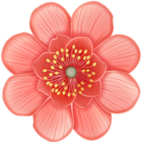 Variety of Top View Flat Flowers Isolated png