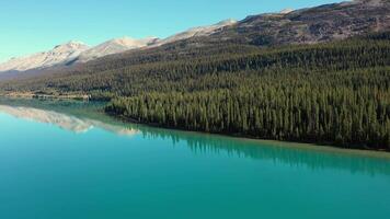 Aerial view of Bow Lake video