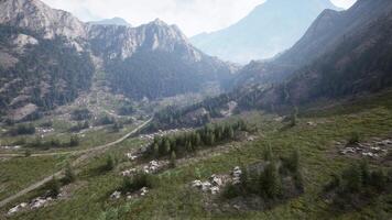 un asombroso montaña Valle con lozano verde arboles video