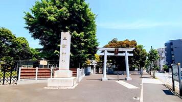 mimeguri santuario, un torii portón en el Fresco verdor frente a el calle.mimeguri santuario es un santuario situado en mukojima, sumida pabellón, tokio, Japón. foto