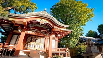 The wooden shrine building of Shibamata Hachiman Shrine,in Shibamata, Katsushika Ward, Tokyo, Japan Our shrine building is built on top of an ancient tomb photo