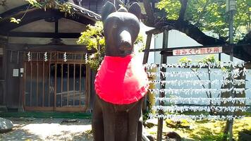 Konkon, the fox at the shrine Mimeguri Shrine.The photo shows a stone fox dedicated in 1802.The stone fox is characterized by its gentle fa