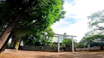 santuario torii en pie en un vacante lote kamimachi tenso santuario,, un santuario en setagaya, tokio, Japón adyacente a un parque, eso es situado en el espalda de un limpiar espacio. foto