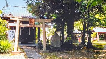 Shrine torii and approach.Mimeguri Shrine is a shrine located in Mukojima, Sumida Ward, Tokyo, Japan. photo