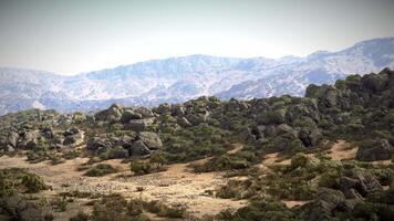 un majestuoso montaña rango con arboles y rocas en el primer plano video