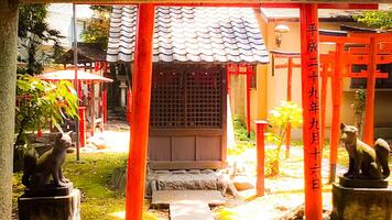 Shrine torii and approach.Mimeguri Shrine is a shrine located in Mukojima, Sumida Ward, Tokyo, Japan. photo