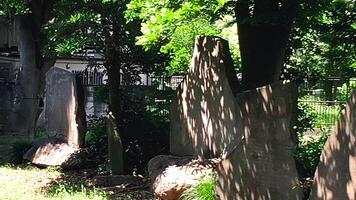 Old stone monuments lined up on the approach to the shrine.Mimeguri Shrine is a shrine located in Mukojima, Sumida Ward, Tokyo, Japan. photo