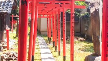 Shrine torii and approach.Mimeguri Shrine is a shrine located in Mukojima, Sumida Ward, Tokyo, Japan. photo