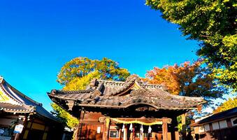 The main building of Rokugatsu Hachiman Shrine and the blue sky.June Shrine, June Hachiman Shrine, Adachi Ward, Tokyo, Japan. It was founded during 1053-1058 photo