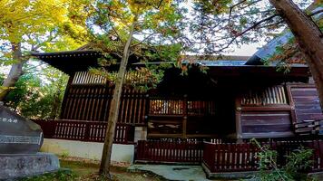 Shimane Washi Shrine is located in Shimane, Adachi Ward, Tokyo, Japan. This area is said to be an ancient cove where the gods landed on boats photo