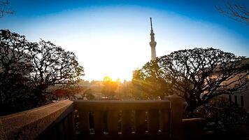 Sunrise and Tokyo Skytree Tower.A radio tower in Oshiage, Sumida Ward, Tokyo, Japan. Height 634m. Commercial facilities and office buildings are attached, making up Tokyo Skytree Town. photo