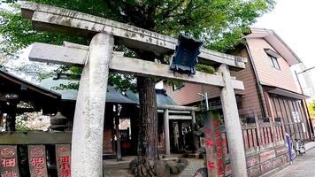 Shrine torii gate.Japan, Osaki Inari Shrine, Namiyoke Inari Shrine, located in Tsukuda, Chuo Ward, Tokyo photo