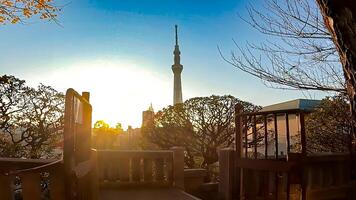 Sunrise and Tokyo Skytree Tower.A radio tower in Oshiage, Sumida Ward, Tokyo, Japan. Height 634m. Commercial facilities and office buildings are attached, making up Tokyo Skytree Town. photo