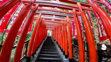 The approach to Inari Shrine. Sanno Inari Shrine.Sanno Inari Shrine, a shrine in the precincts of Sanno Hie Shrine, a shrine in Nagatacho, Tokyo, Japan photo