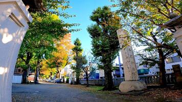 Hiratsuka Shrine, a shrine in Kaminakazato, Kita-ku, Tokyo, Japan. It has been enshrining Hachiman Taro Minamoto no Yoshiie, a hero of the late Heian period, and his two younger brothers since 1118. photo