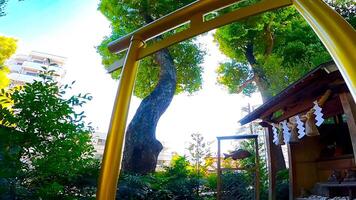 el dorado torii portón de tanashi santuario.tanashi santuario, un santuario en nishi-tokio ciudad, tokio, Japón. establecido en el cinco elementos filosofía, cinco continuar deidades son consagrado dentro el santuario jardines foto