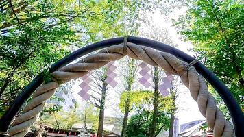 Passing through the shrine ring and fresh greenery.Tanashi Shrine, a shrine in Nishi-Tokyo City, Tokyo, Japan. Based on the Five Elements philosophy, five dragon deities are enshrined within the shrin photo