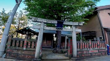 Shrine torii gate.Japan, Osaki Inari Shrine, Namiyoke Inari Shrine, located in Tsukuda, Chuo Ward, Tokyo photo