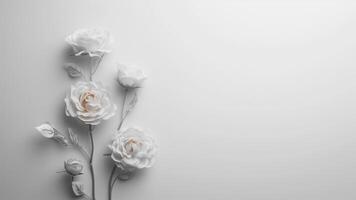 White roses on white background with copy space. Flat lay style. photo