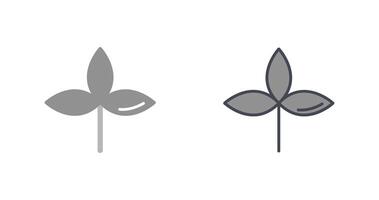 Autumn Leaf Icon vector