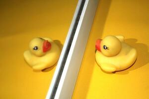 Rubber ducks that are faced with a mirror and pose as if they are facing each other photo