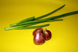 The main ingredient of the dish is shallots and the complementary ingredient is spring onions in one picture.ient onion leaves in one picture photo