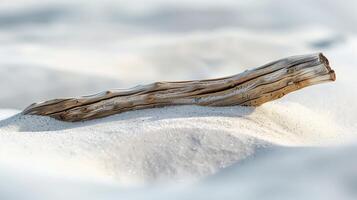 Close-up photo of white driftwood on sand, minimalist aesthetic, light beige background. Generated by artificial intelligence.