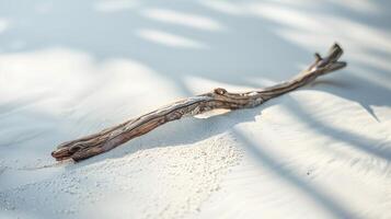 Close-up photo of white driftwood on sand, minimalist aesthetic, light beige background. Generated by artificial intelligence.