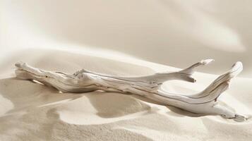 Close-up photo of white driftwood on sand, minimalist aesthetic, light beige background. Generated by artificial intelligence.