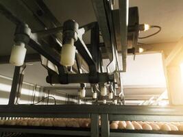 Close up the Mechanical turning eggs trolley on the incubation hatchery machine. photo