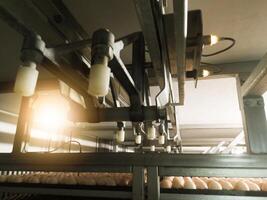 Close up the Mechanical turning eggs trolley on the incubation hatchery machine. photo