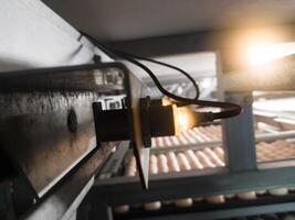 Close up the indicator light turning sensor on the eggs incubation hatchering machine. photo