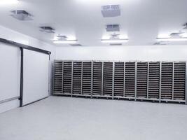 Several trolleys contain hatching eggs in the egg storage room so that the temperature of the eggs is maintained with Ceilling air vent on the cooling storage room before on hatching process. photo