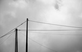 Electric poles with white clouds in the background during fog photo