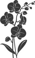 AI generated Silhouette Orchid flower black color only vector