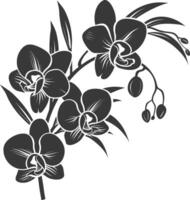 AI generated Silhouette Orchid flower black color only vector