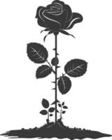 AI generated Silhouette rose flower in the ground black color only vector