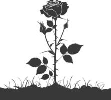 AI generated Silhouette rose flower in the ground black color only vector