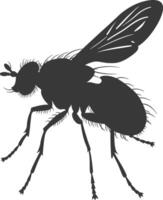 AI generated Silhouette Fly Insect animal black color only full vector