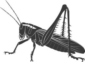 AI generated Silhouette grasshopper Insect animal black color only vector