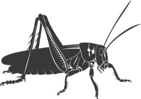 AI generated Silhouette grasshopper Insect animal black color only vector