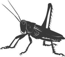 AI generated Silhouette grasshopper Insect animal black color only vector