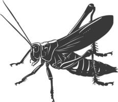 AI generated Silhouette grasshopper Insect animal black color only vector