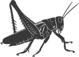 AI generated Silhouette grasshopper Insect animal black color only vector