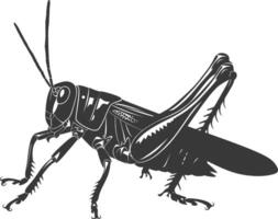 AI generated Silhouette grasshopper Insect animal black color only vector